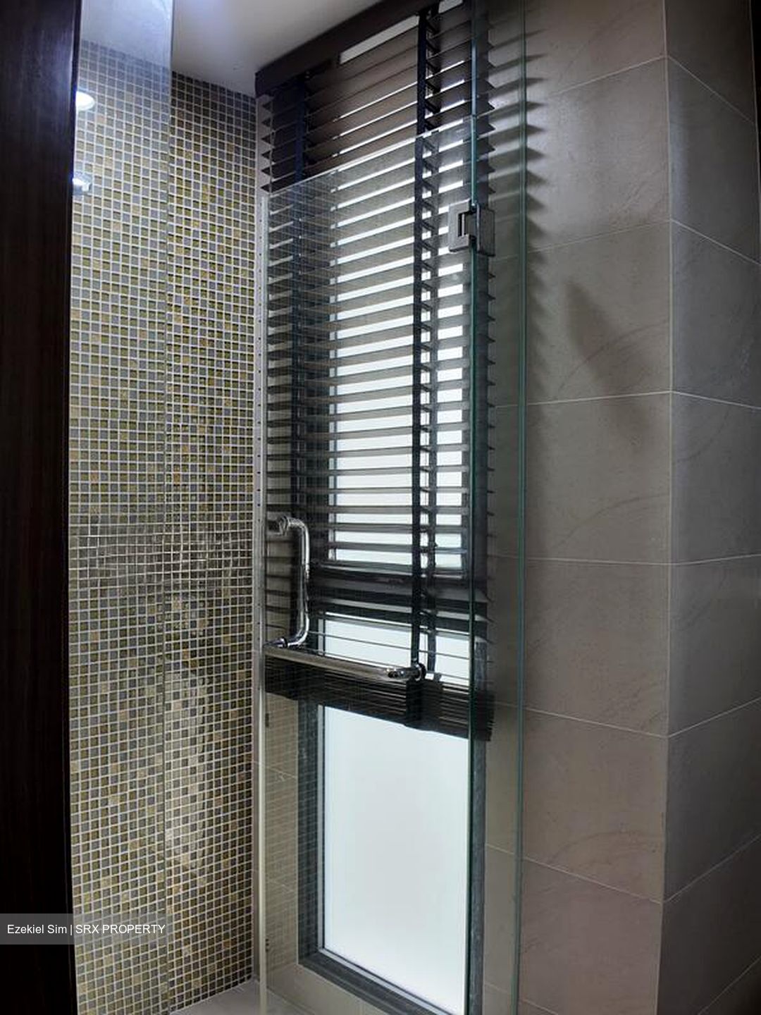 The Miltonia Residences (D27), Condominium #520147741